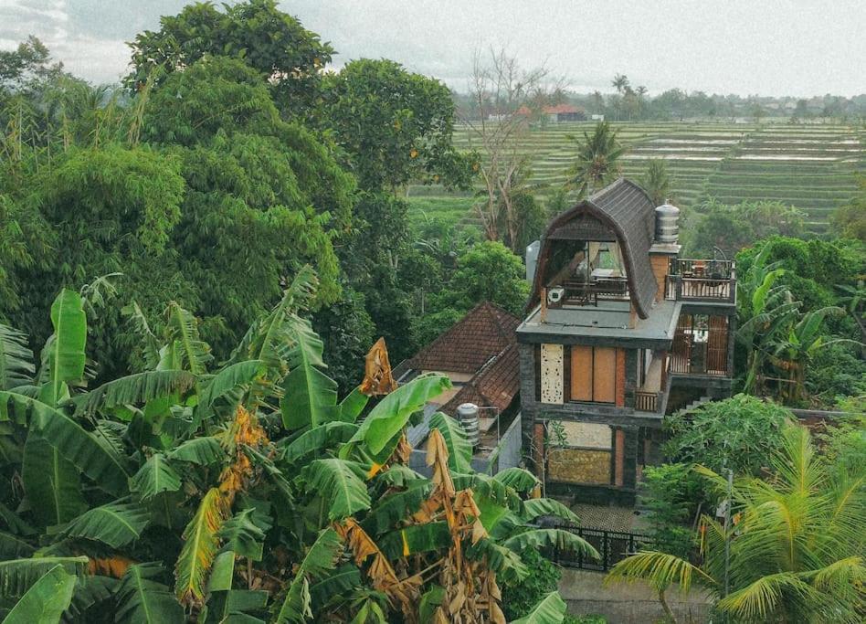 Tori Klumpu, 3 Bedroom Artistic Villa, Dual Views Near Ubud バドゥン エクステリア 写真
